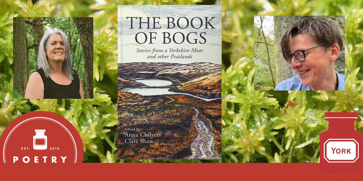 The Magic of Bogs