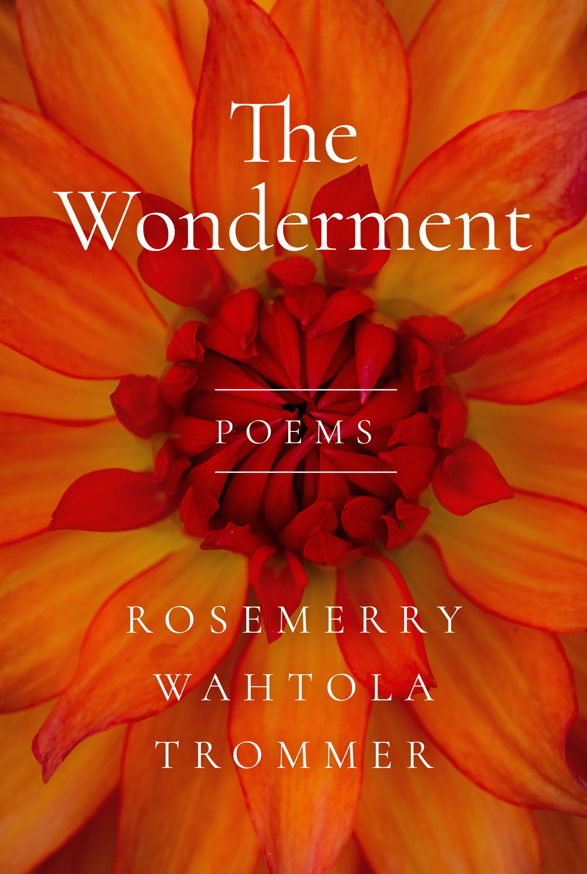 Online Book Launch: The Wonderment with Rosemerry Wahtola Trommer