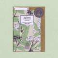 Ten Poems of Kindness Volume One-The Poetry Pharmacy